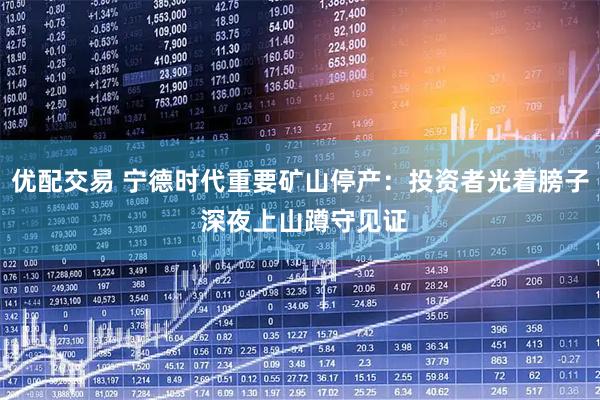 优配交易 宁德时代重要矿山停产:投资者光着膀子 深夜上山蹲守见证